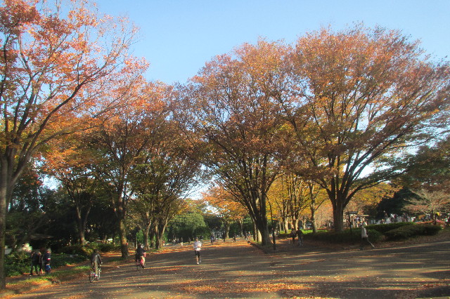 ファイル 3326-2.jpg