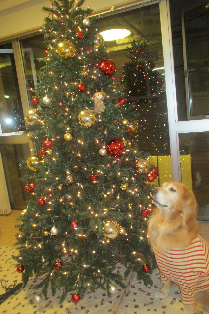 ファイル 3326-5.jpg