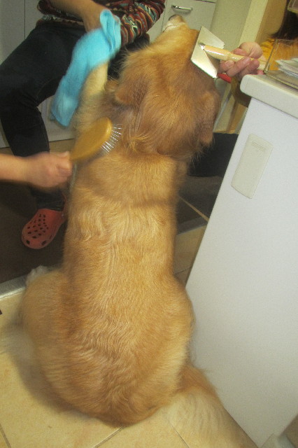 ファイル 3327-1.jpg