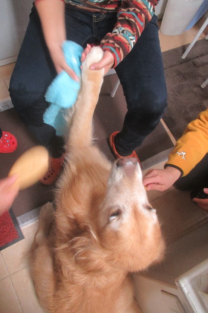 ファイル 3327-4.jpg