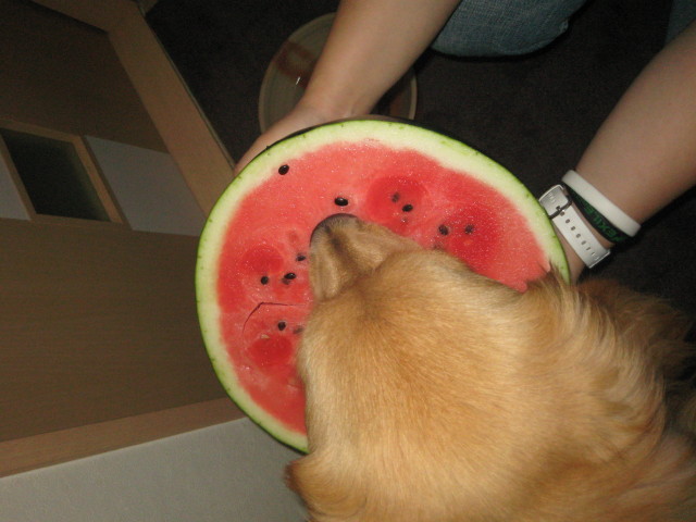 ファイル 333-3.jpg