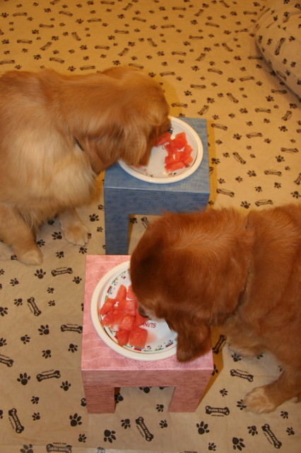 ファイル 333-4.jpg