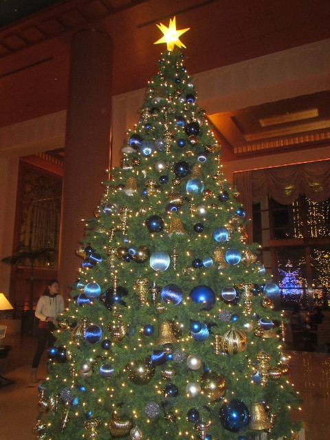 ファイル 3331-3.jpg