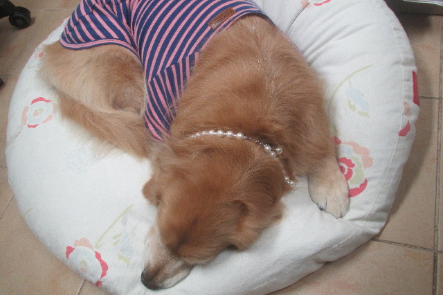 ファイル 3333-3.jpg