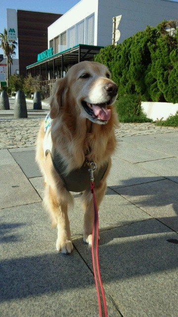 ファイル 3333-5.jpg