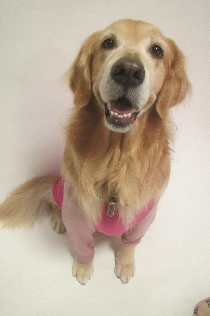 ファイル 3334-5.jpg