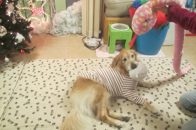 ファイル 3335-3.jpg