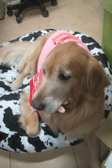 ファイル 3336-4.jpg