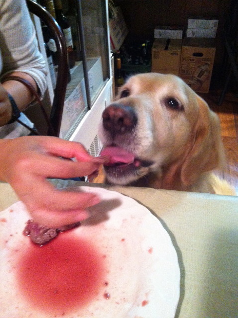 ファイル 3337-2.jpg