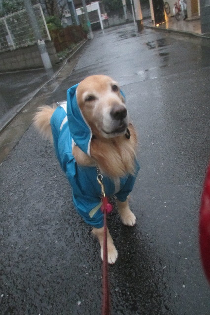 ファイル 3338-5.jpg