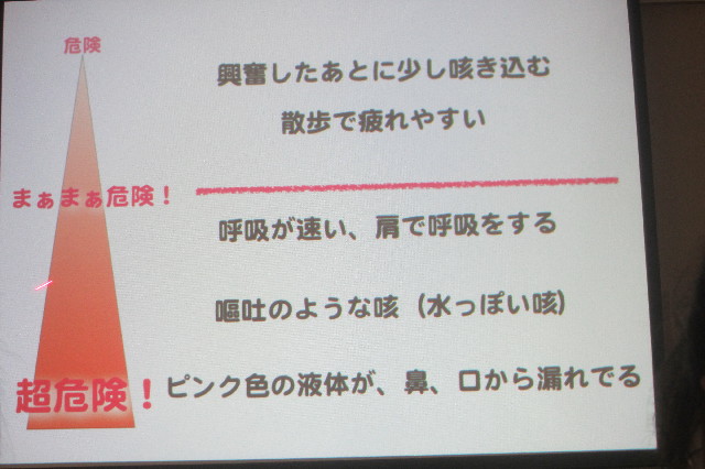 ファイル 3339-1.jpg