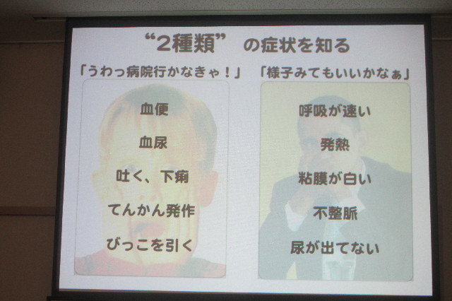 ファイル 3339-2.jpg