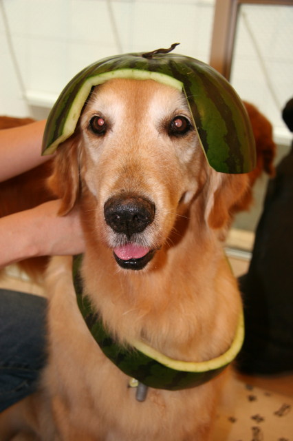 ファイル 334-1.jpg