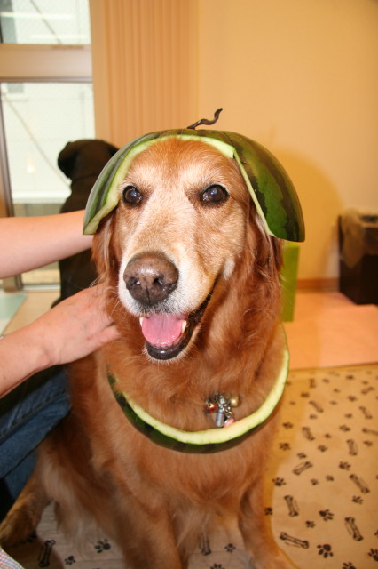 ファイル 334-2.jpg