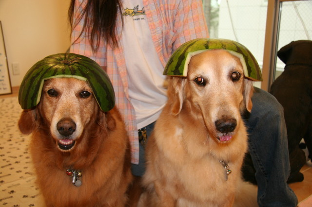 ファイル 334-5.jpg