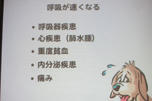 ファイル 3340-4.jpg