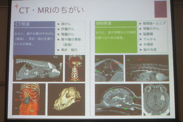 ファイル 3340-5.jpg