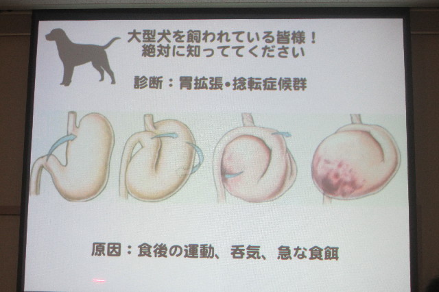 ファイル 3341-1.jpg