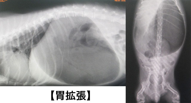 ファイル 3341-3.jpg