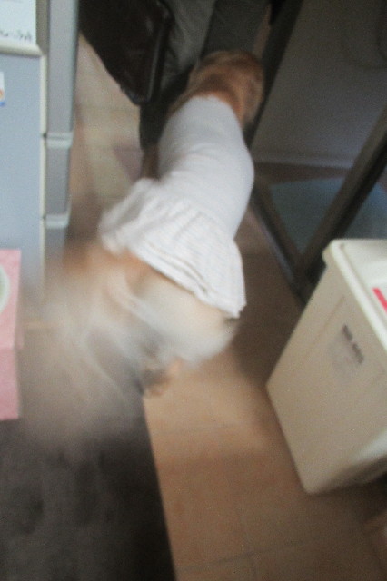 ファイル 3349-1.jpg