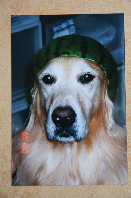 ファイル 335-1.jpg