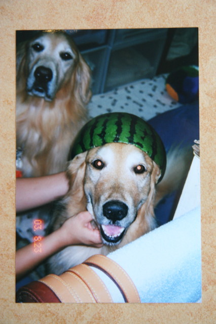 ファイル 335-2.jpg