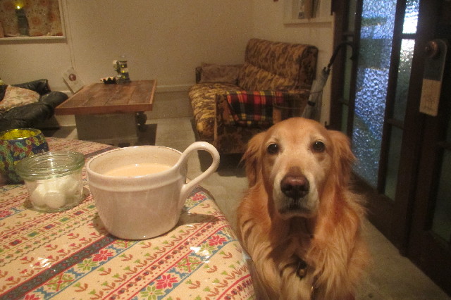 ファイル 3350-4.jpg