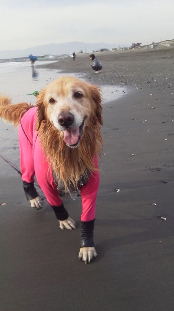 ファイル 3351-3.jpg