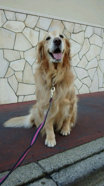 ファイル 3352-4.jpg