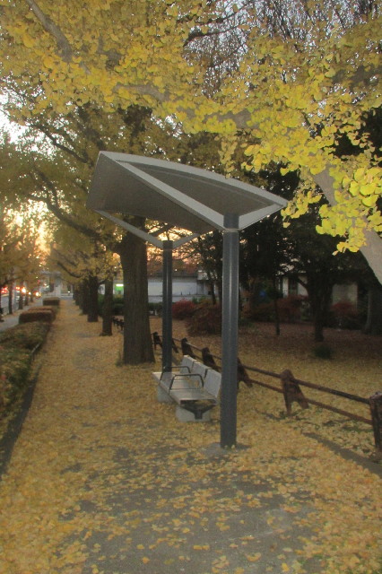 ファイル 3354-3.jpg