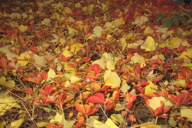 ファイル 3354-4.jpg