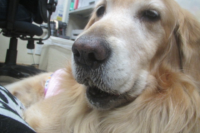 ファイル 3355-1.jpg