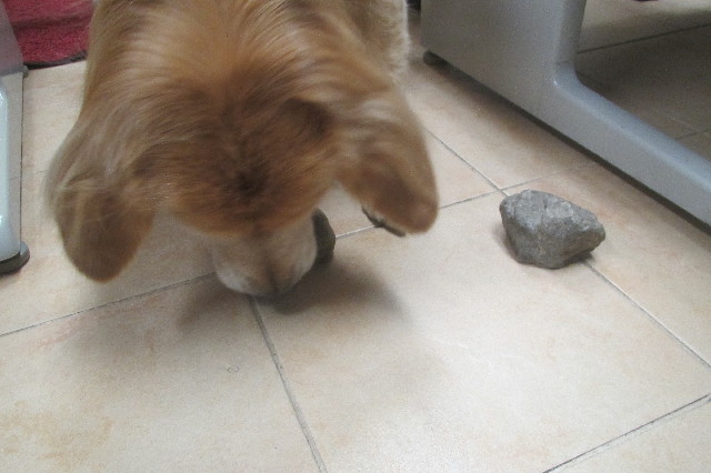 ファイル 3355-5.jpg