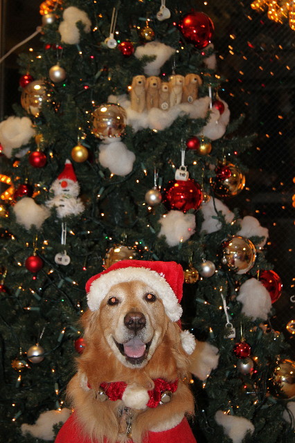 ファイル 3356-3.jpg