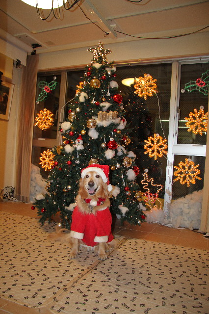 ファイル 3356-5.jpg