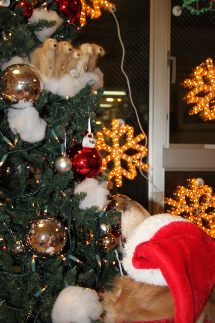 ファイル 3358-4.jpg