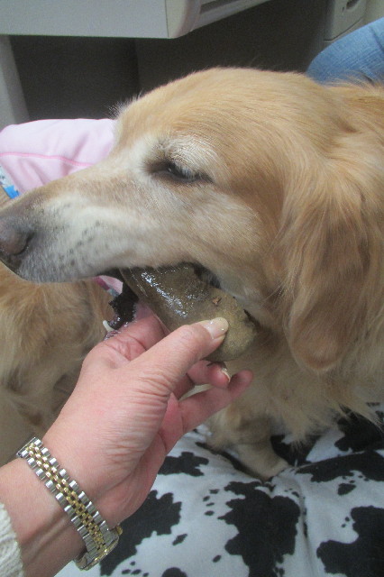 ファイル 3359-4.jpg