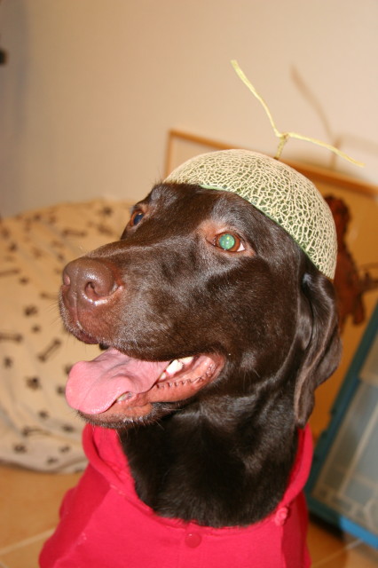 ファイル 336-3.jpg