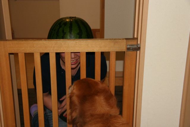 ファイル 336-5.jpg