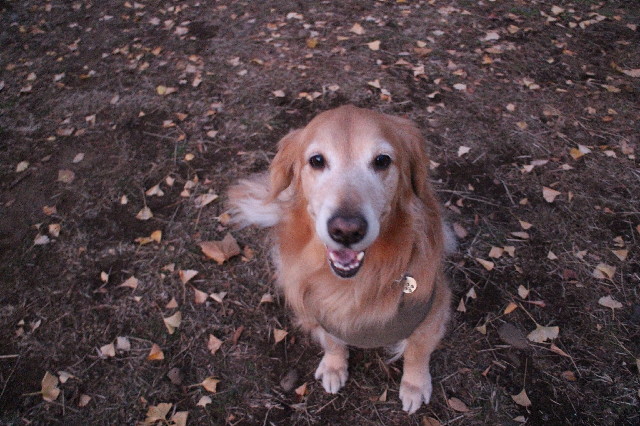 ファイル 3360-4.jpg