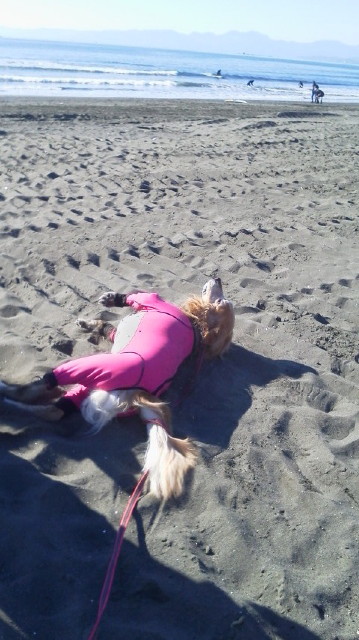 ファイル 3361-3.jpg