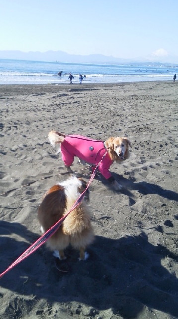 ファイル 3361-4.jpg