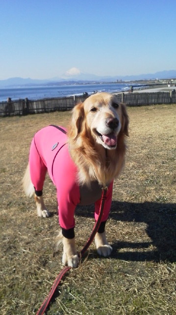 ファイル 3361-5.jpg