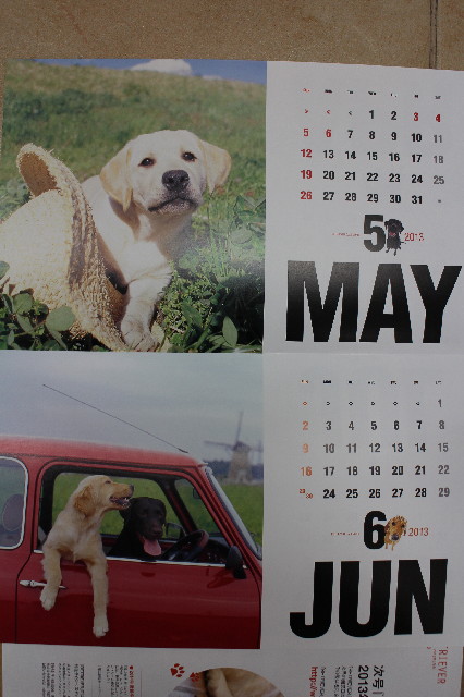 ファイル 3362-3.jpg