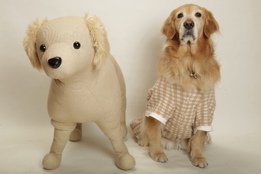 ファイル 3365-1.jpg