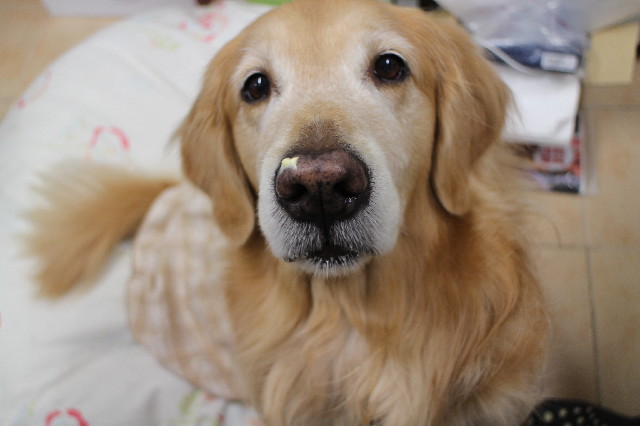 ファイル 3365-5.jpg