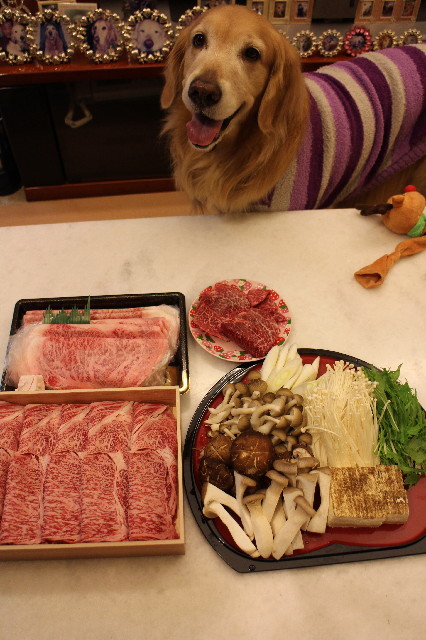 ファイル 3366-1.jpg