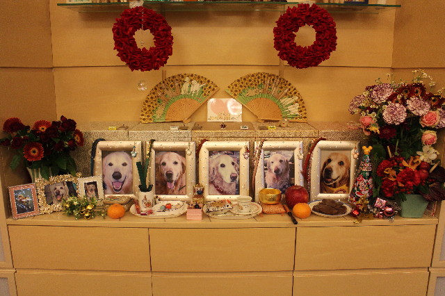 ファイル 3366-3.jpg