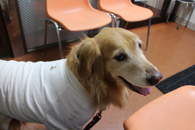 ファイル 3368-1.jpg