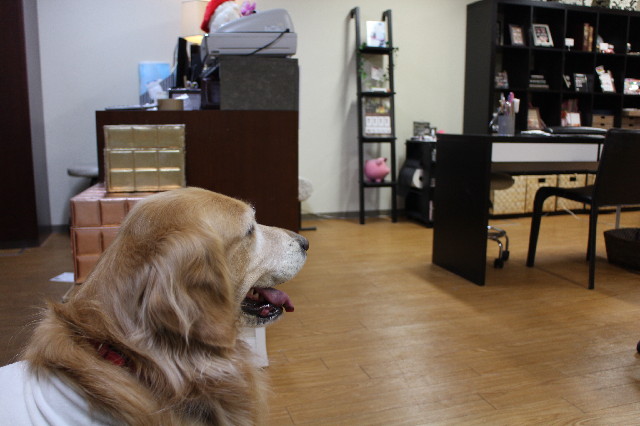 ファイル 3368-4.jpg